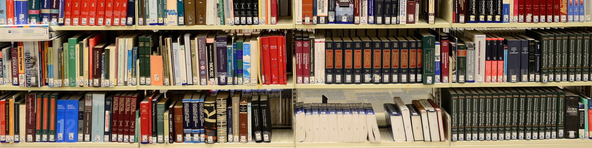 Книги 2019 по рекомендации от «Синергия»